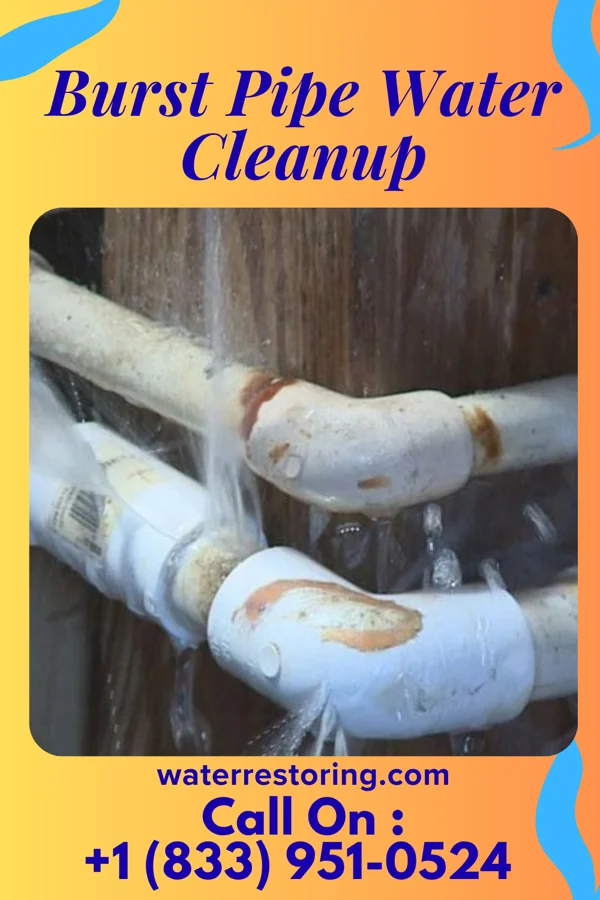 Burst Pipe Water Cleanup in Doyline, LA