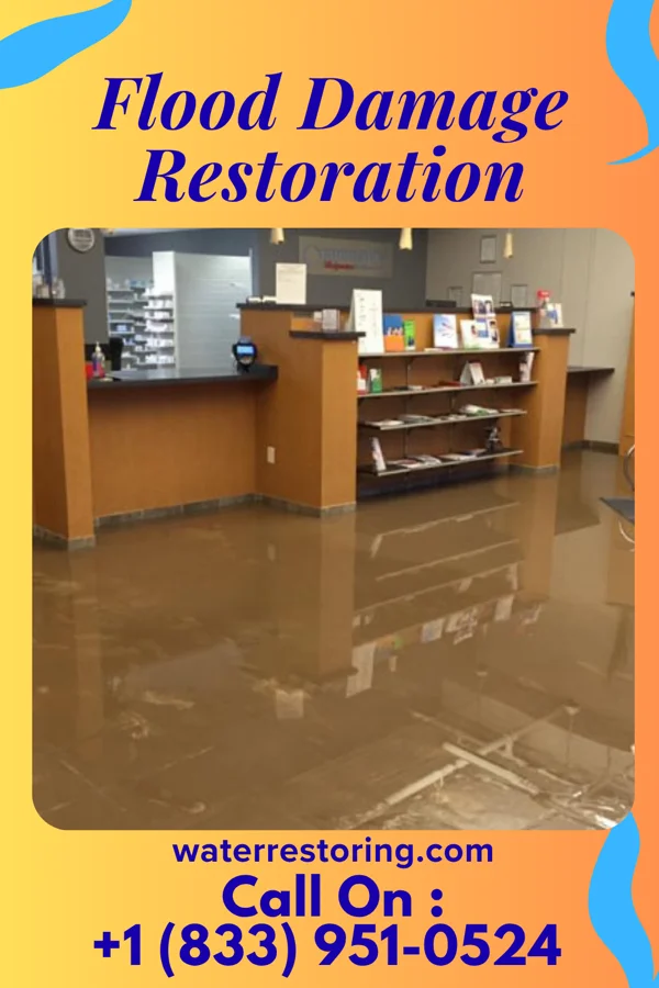 Flood Damage Restoration in Doyline, LA