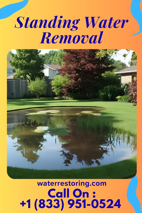Standing Water Removal in Doyline, LA